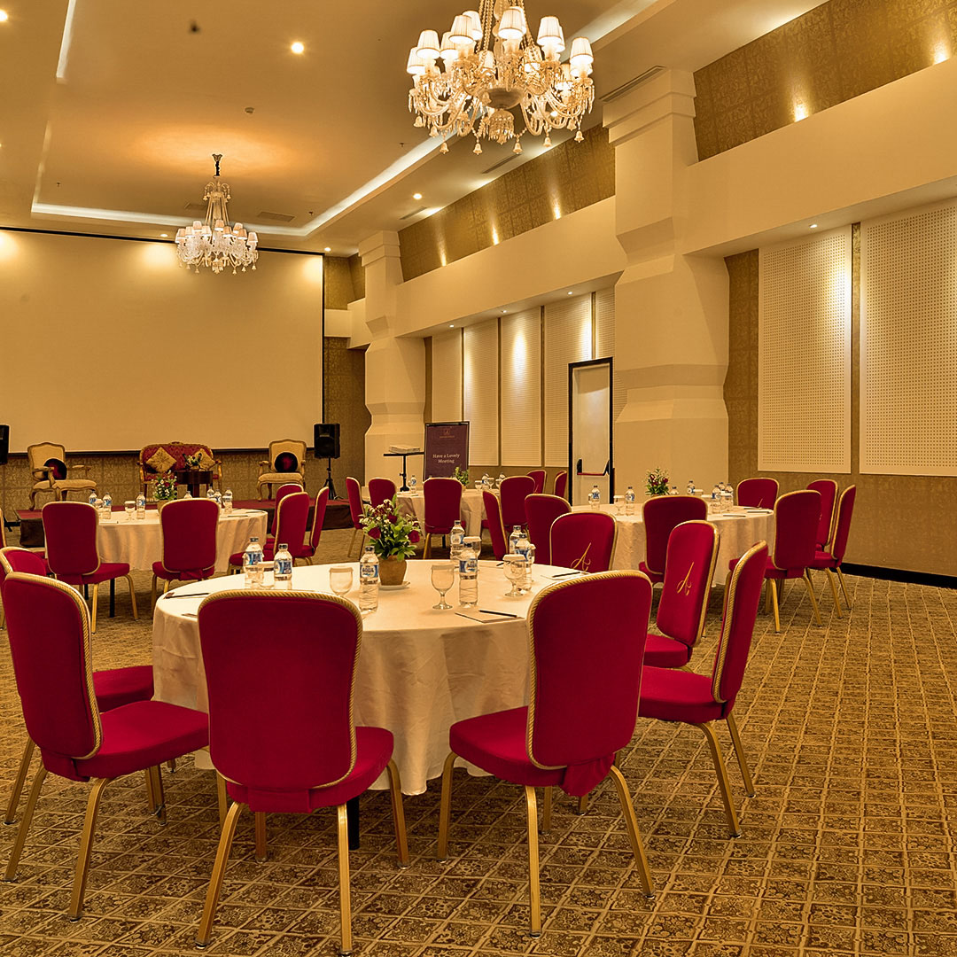 Conference & Meeting